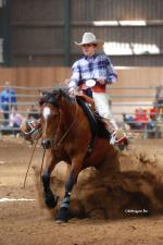 Závody NRHA CZECH CUP a CZQHA SHOW 16-17. června 2007 Jaroměř - Nová Amerika
